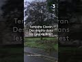 Ref:mdKVN6OTVws #shortsyoutube temp�te ciaran. des d�g�ts dans les rues de brest.  #bretagne #actualit�s #info