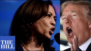 Kamala Harris RIPS Trump for racism, bigotry in 2020 campaign push: "We are better than this!"