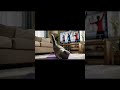 Zumba Cat #cat #cute #kitten #funny #cutecat #funnycats #animals #pets #anime #kitty