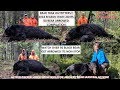 50 Bear Arrowed Compilation in 14 minutes Bear Trak 2018 Season Bow High Lights ARCHERY