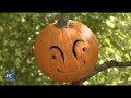 Spooky Pumpkin Garden at NYBG