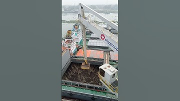 Mustard is being unloaded from the ship via E crane..