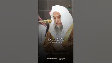 سورة التكاثر | القارئ الشيخ فيصل غزَّاوي