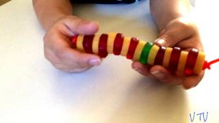 EXPLANATION OF THE BACKBONE'S MODEL IN HUMAN SCIENCE | V TV