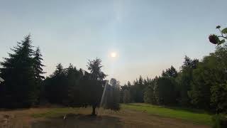 Morning sights and sounds