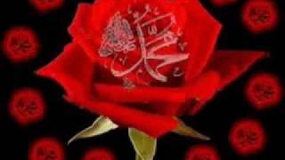 Mustafa Sevi̇m - Kul Güzel Olur Resimi