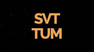 Season`s greetings from SVT@TUM 2020