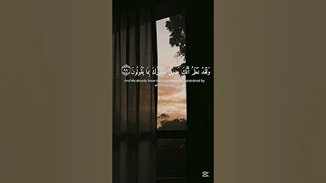 سورة الحجر القارئ إسلام صبحي قرآن اكسبلور المصحف 