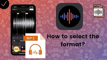 How to select the format on Voice Recorder & Memos Pro?