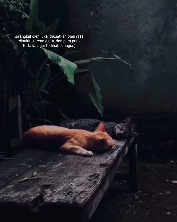 Polosan Video Sad #storywa #shorts