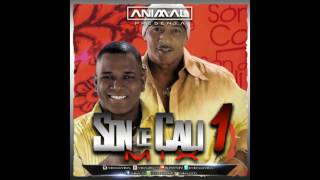 Son De Cali Mix 1 - Animal Dj (www.animaldj.co)