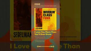 Segelmann - I Love You More Than You'll Ever Know (Fusion Smooth Jazz) Workin’ Class Funk - Teaser