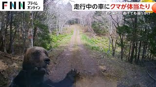 【恐怖】ヒグマが“猛スピード”で車に体当たり　逃げても追いかけてくるクマに「また来たヤバいぜ」　北海道・根室市2024/4/29放送