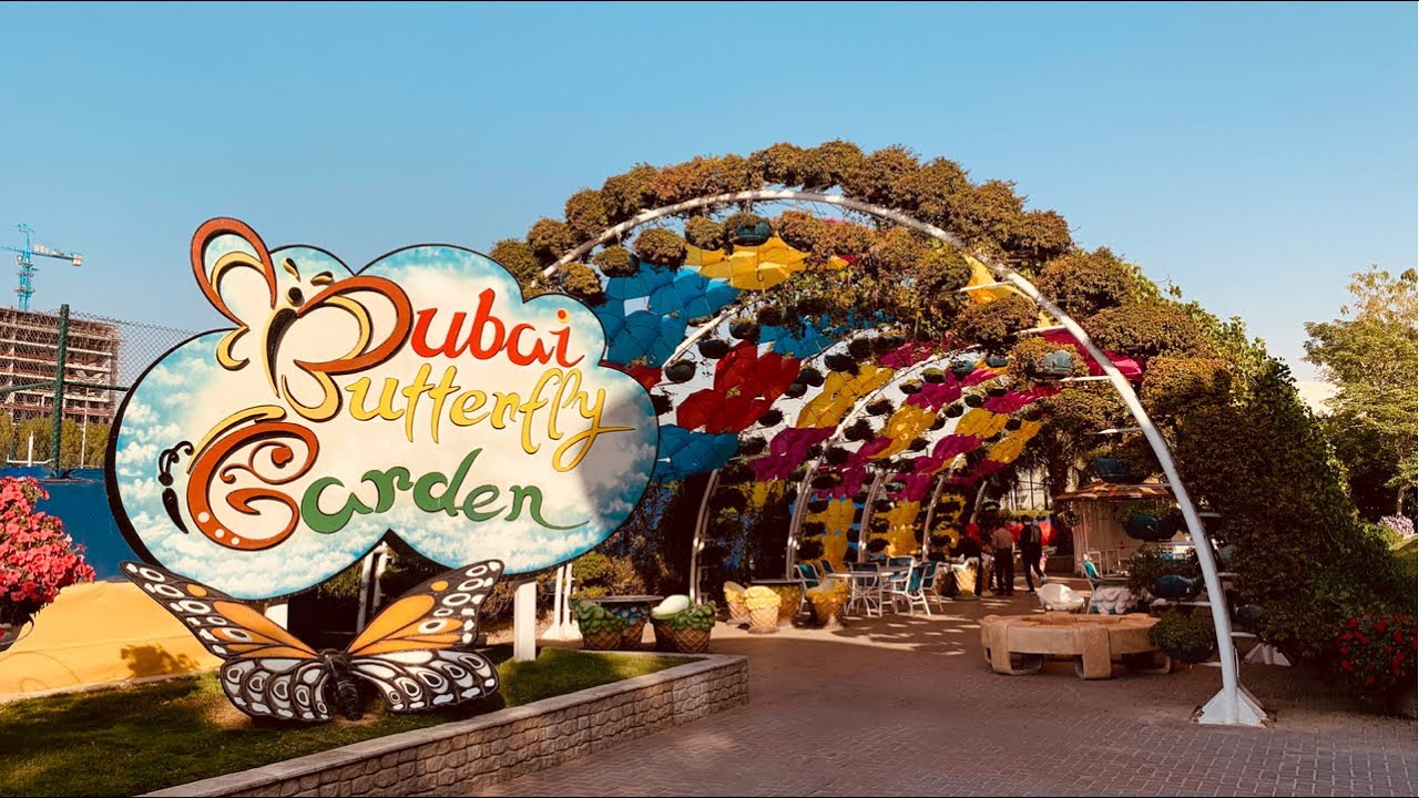Dubai butterfly park vlog..