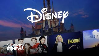 Celebrity Disney drops effort to block wrongful death lawsuit over Disney+ contract Wealth