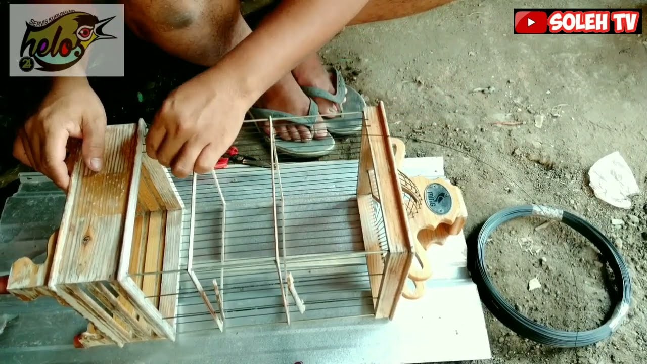 Cara Mudah ganti jari jari fiber sangkar pleci, konin, prenjak