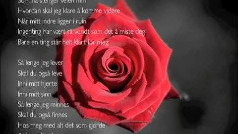Hans Inge Fagervik - Så lenge jeg lever