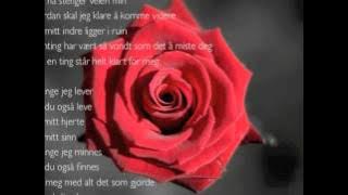 Hans Inge Fagervik - Så lenge jeg lever