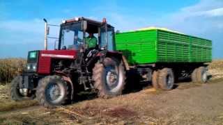 Krunjenje kukuruza 2013 |MTZ 820 & Class dominator 108|