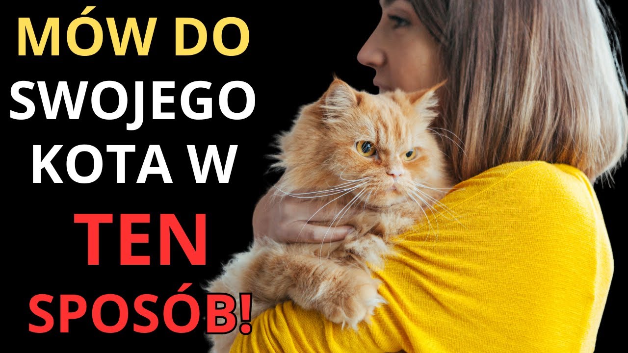 To jest WŁAŚCIWY sposób mówienia do kota, aby CIĘ ZROZUMIAŁ!