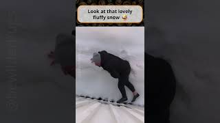 Look at That Lovely Fluffy Snow.