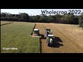 Perkins wholecrop 2022