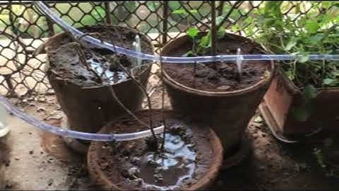 Home Garden Watering System with Raspberry Pi