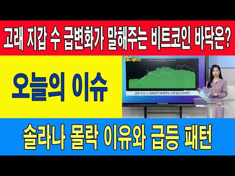   고래 지갑 수 급변화가 말해주는 비트코인 바닥은 솔라나 몰락 이유와 급등 패턴