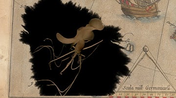 KNB126 - Neil Noble - 3rd Motion Experiment - Illustrative Motion Design