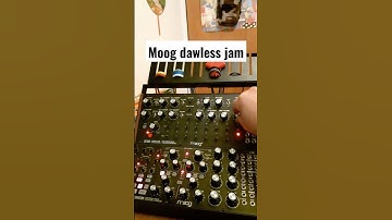 Dawless moog techno jam💣❤💣#dawless #moog #dfam #roland #mc707 #mx1 #tr8s #zoom #techno #technojam
