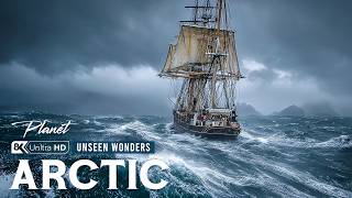 Inside the Arctic | Where Life Exists at the Edge of Earth’s Harshest Conditions