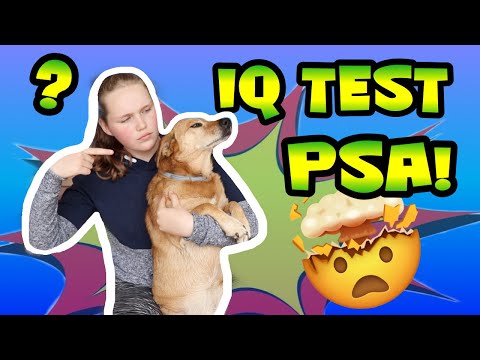 Video: Kako Pameten Je Moj Pes? Testiranje IQ-ja Mojega Psa