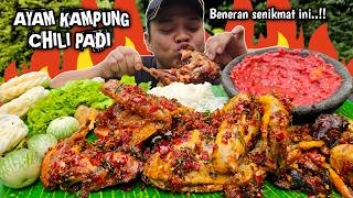 MITOS ATAU FAKTA ? MUKBANG AYAM KAMPUNG CHILI PADI   LALAPAN   SAMBAL TERASI