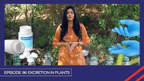 Learn with PGC | Smart Learning EP 96 | Excretion in plants