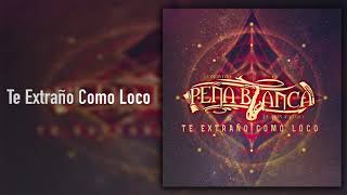 Video-Miniaturansicht von „Conjunto Peña Blanca - Te Extraño Como Loco (Audio)“
