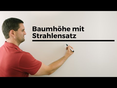 Video: Wie Einfach Es Ist, Die Höhe Eines Baumes Zu Bestimmen