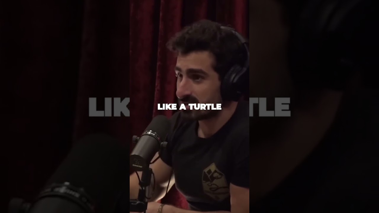 Intense Jungle Encounter An Astonishing Display of Primate Communication