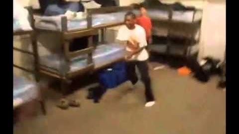 Potential (Round 4 with Mexicansunflower).wmv