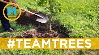Information YouTubers banding together to plant 20 million trees and they're pretty close! | Your Morning Update