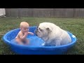 宝宝和狗狗一起玩水，接下来狗狗的举动，实在太可爱了