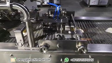 Anko Spring Roll Machine, Spring Roll Folding Machine