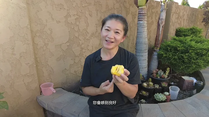 Christina Liu - Catus and Fruit Planting