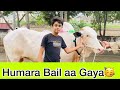 Humara bail aa gaya vlog65 haider shamir vlogs