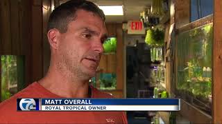 Men accused of taking $200 turtle from pet store