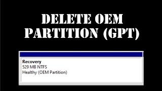 Delete OEM Partition from GPT Disk
