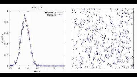 Formation of local equilibrium in the Vicsek particle model