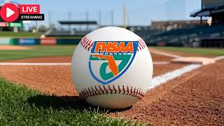 Live : Williston Red Devils Vs Marathon Dolphins | High School Baseball Playoffs