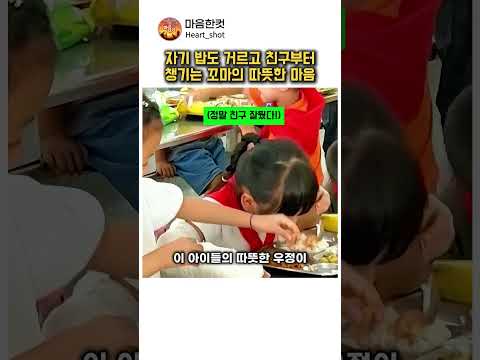 자기 밥도 안 먹고 아픈 친구 새우 까주는 꼬마 천사 thumbnail