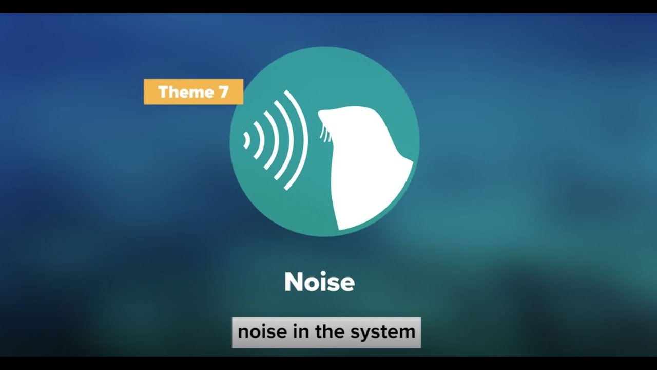 WAMSI Westport Marine Science Program - Noise