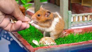 Build Hamster Maze - DIY Brick Hamster House